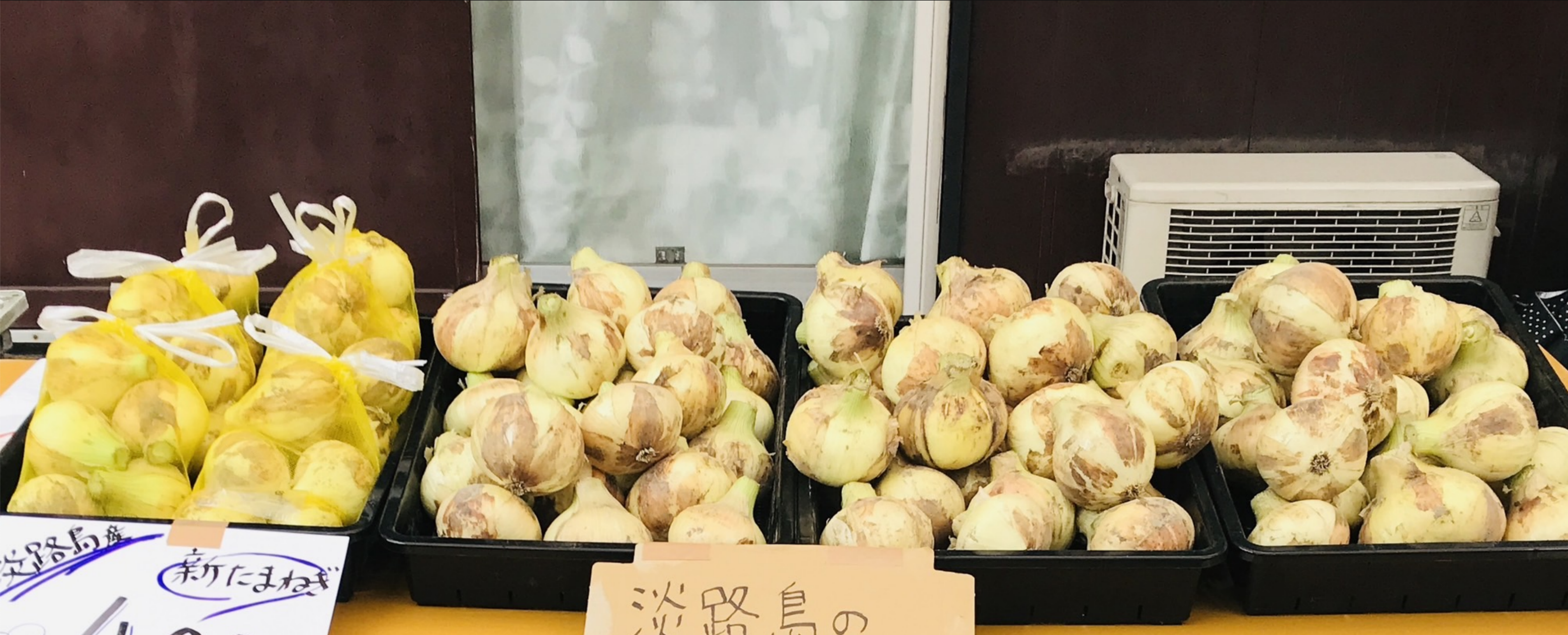 玉ねぎ画像